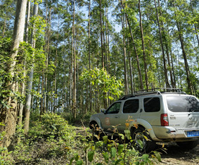 三江侗族自治縣森林資源規劃設計調查外業調查項目