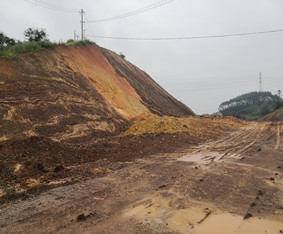 信都至梧州高速公路一期工程項目取土場使用林地可行性報告編制服務